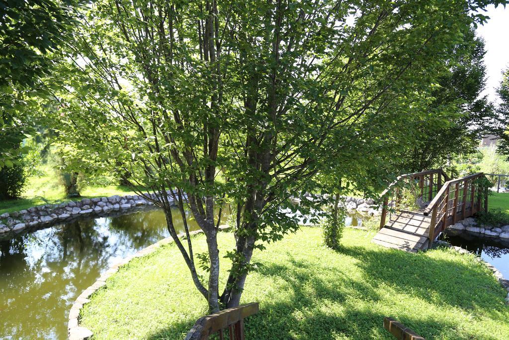 Isola Di Wight Bed & Breakfast San Michele al Tagliamento Bagian luar foto