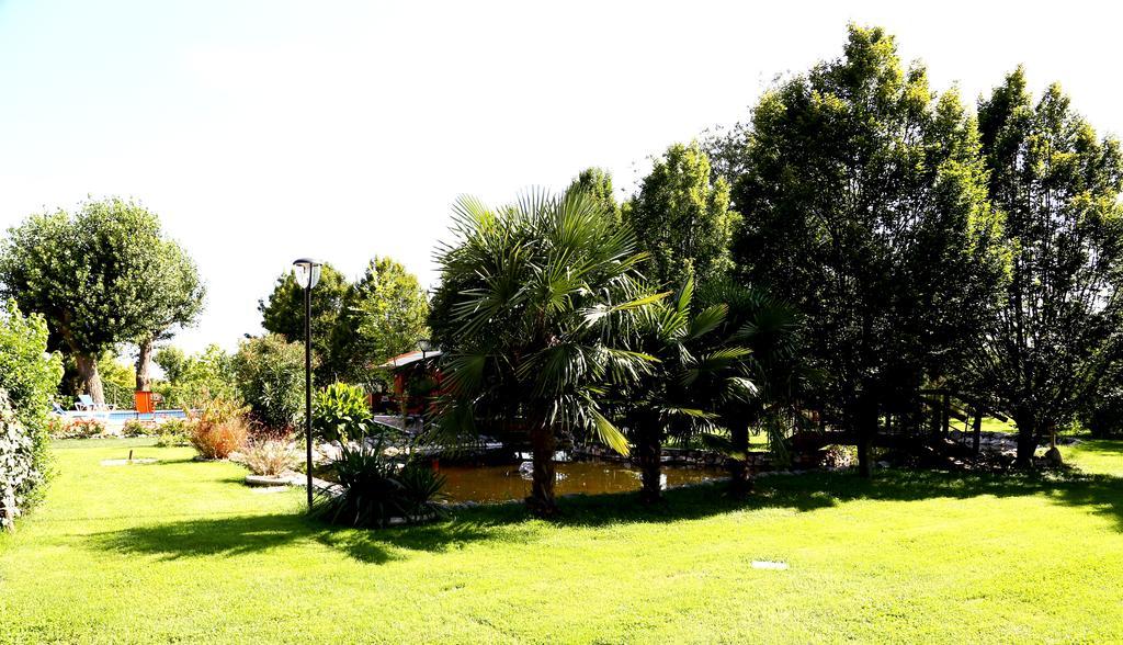 Isola Di Wight Bed & Breakfast San Michele al Tagliamento Bagian luar foto